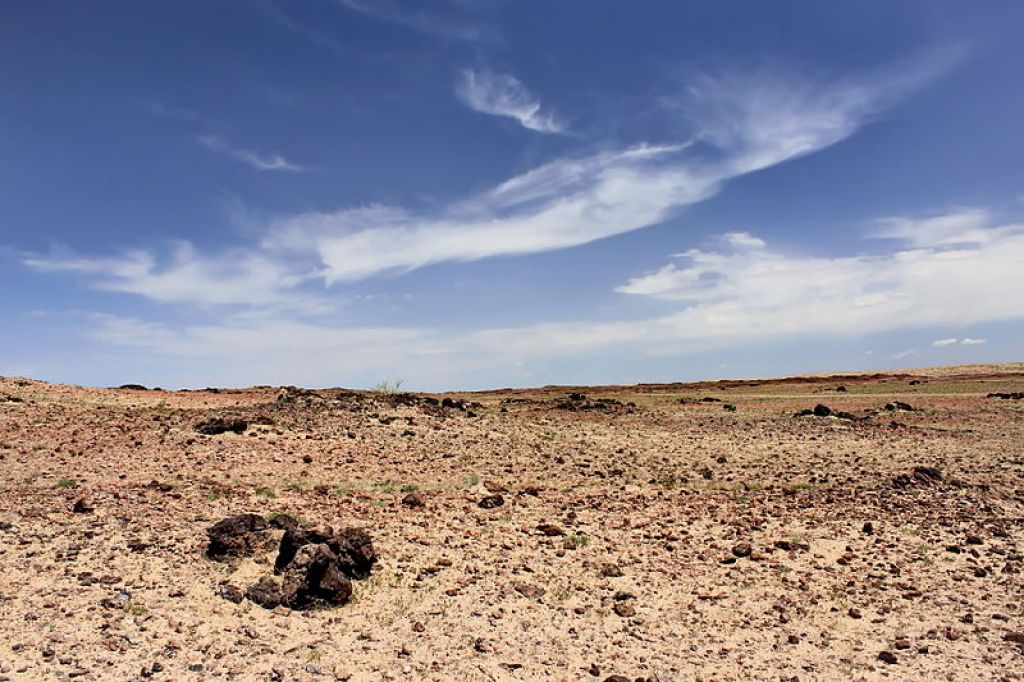 Southern Altai Gobi Strictly Protected Area